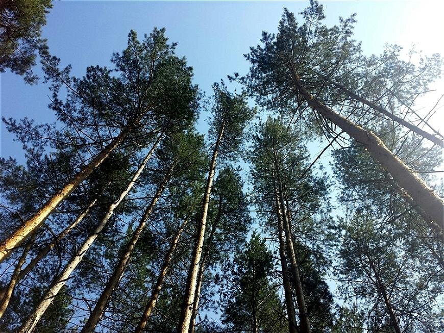 Фото: Город Казань KZN.RU