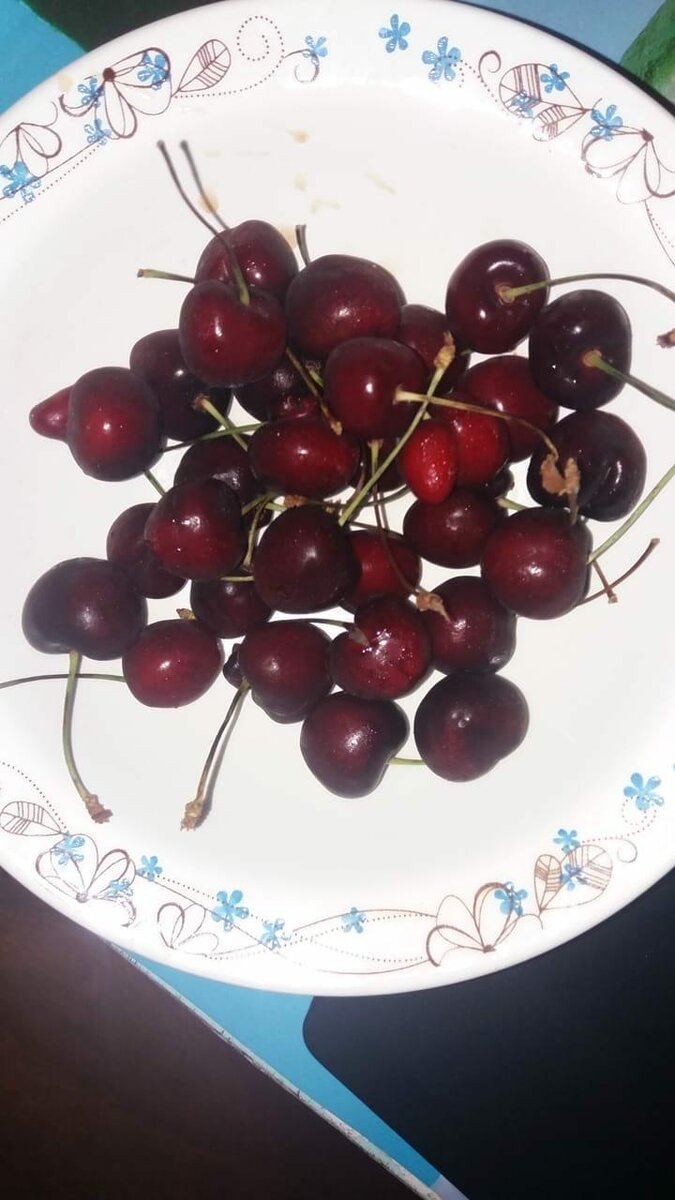 ПРОСТИТЕ ЗА КАЧЕСТВО ФОТО,НУ ТАКОЙ УЖ ТЕЛЕФОН-МАЛЕНЬКАЯ ПРОБЛЕМА ЕСТЬ)))