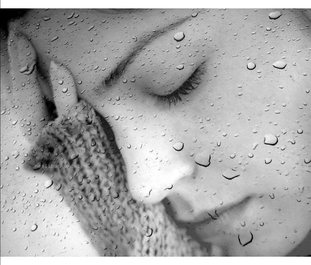 Картинка из общего доступа