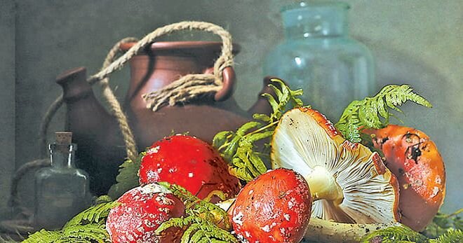 НАСТОЙКА МУХОМОРА (ДЛЯ НАРУЖНОГО ПРИМЕНЕНИЯ)