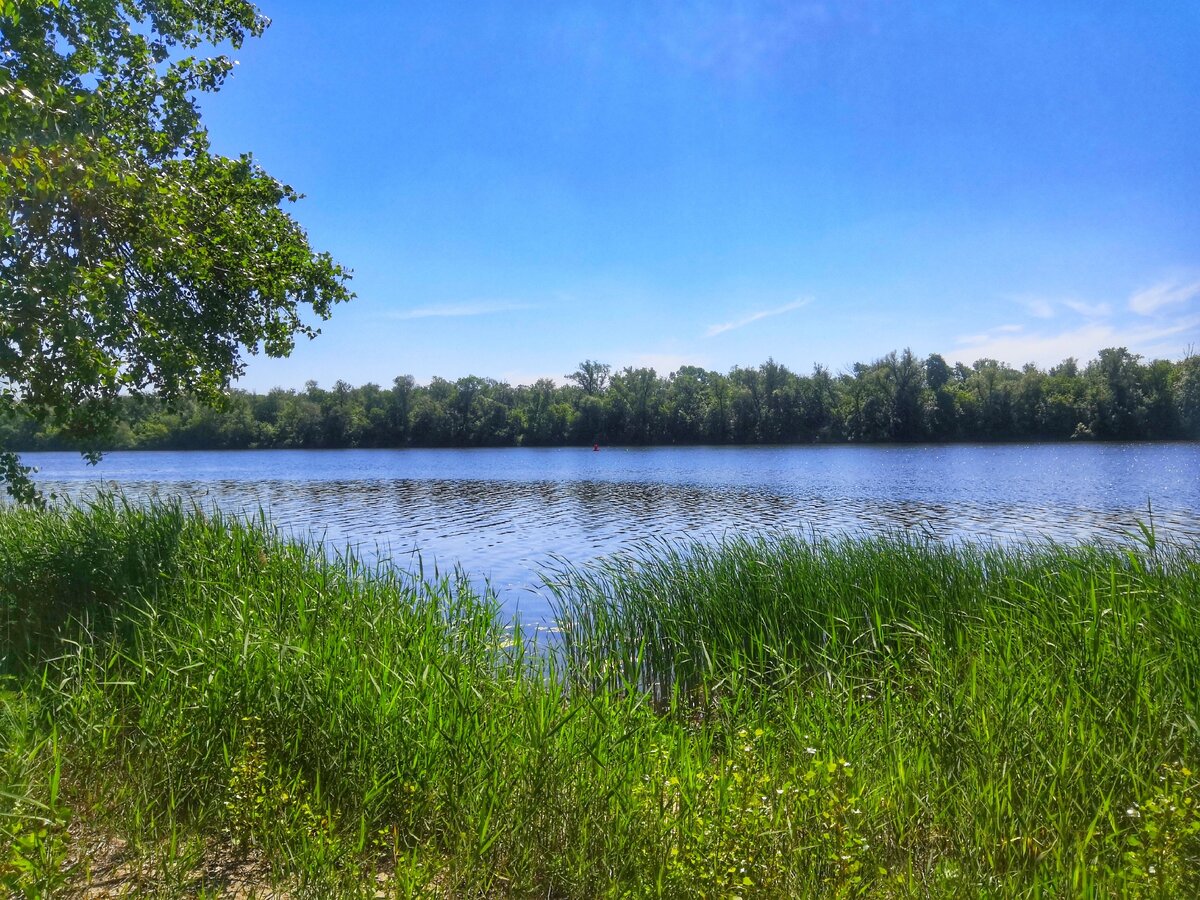 Северский Донец. Личный пляж.
