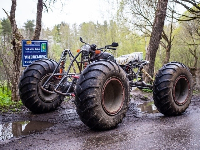 Источник фото: https://vk.com/photo-18271691_457316285?api_access_key=36471e2affe855f154