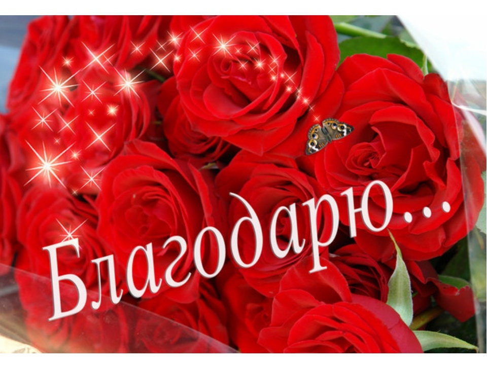 Благодарю тебя мир....