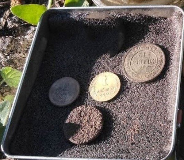 Фото комрада. 