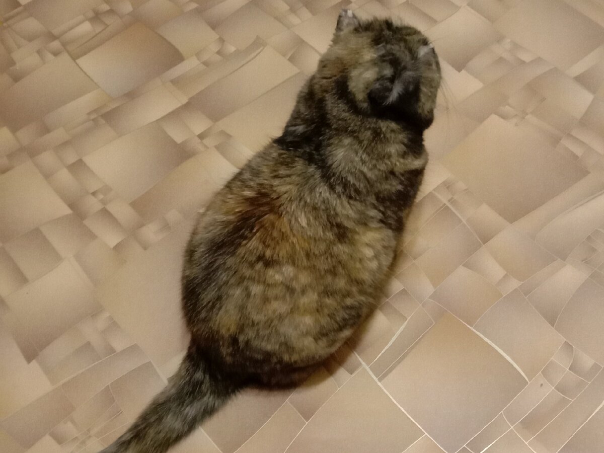 Есть на кого свалить