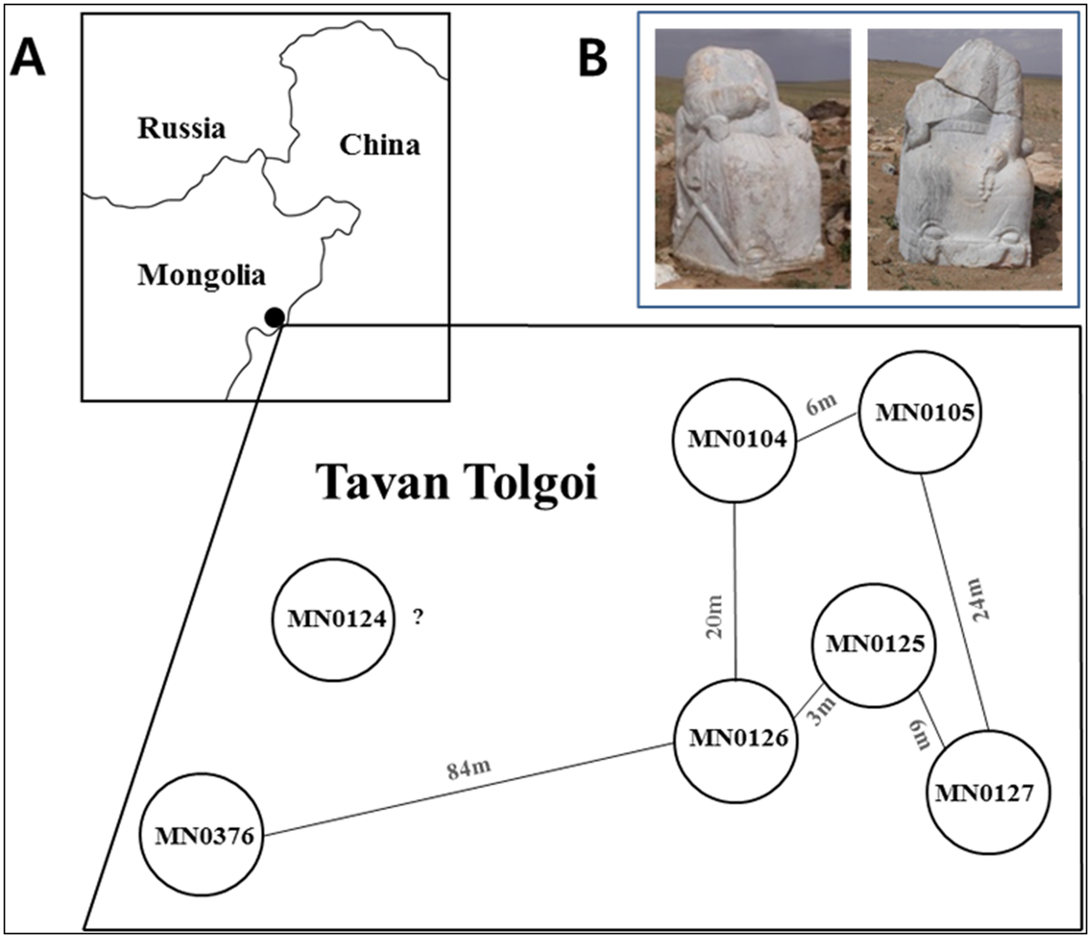 А - относительное географическое расположение могильника, схема внизу - расположение раскопанных там могил с обозначением номеров останков; В - у входа в Таван-Толгой находятся две каменные статуи без голов, называемые монгольскими царем и царицей;