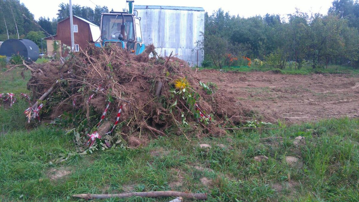 И у меня на это 5 причин: почему я купил участок в старом снт а не в новом  поселке | Даня на даче: строю и показываю! | Дзен