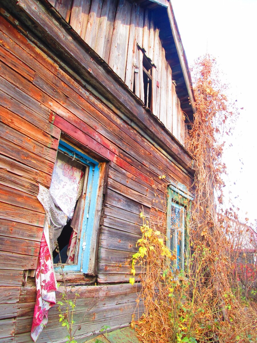 Не осталось даже на карте. Тенденция вымирания русской деревни