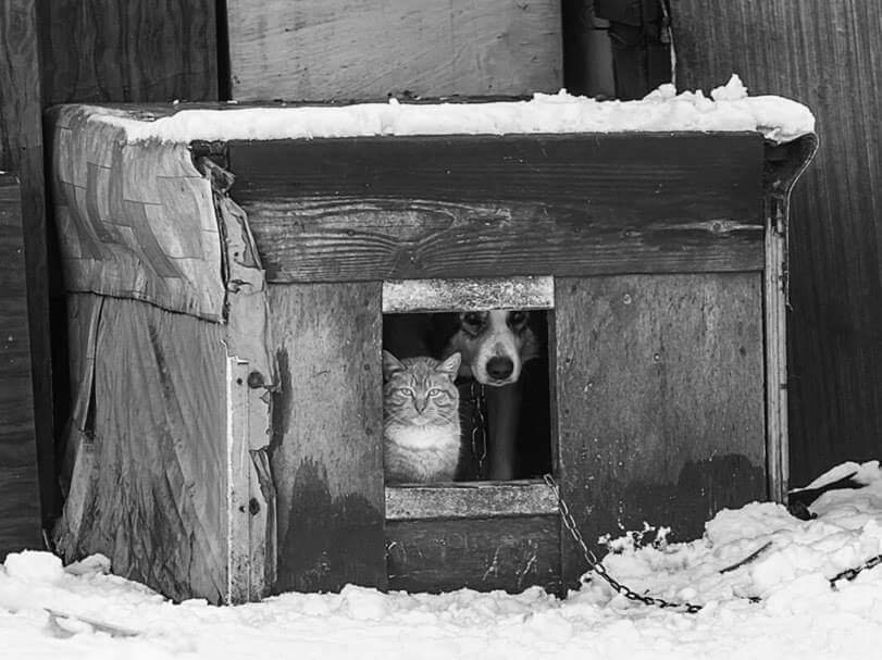 фото использовано в качестве иллюстрации. Источник "Яндекс.Картинки"