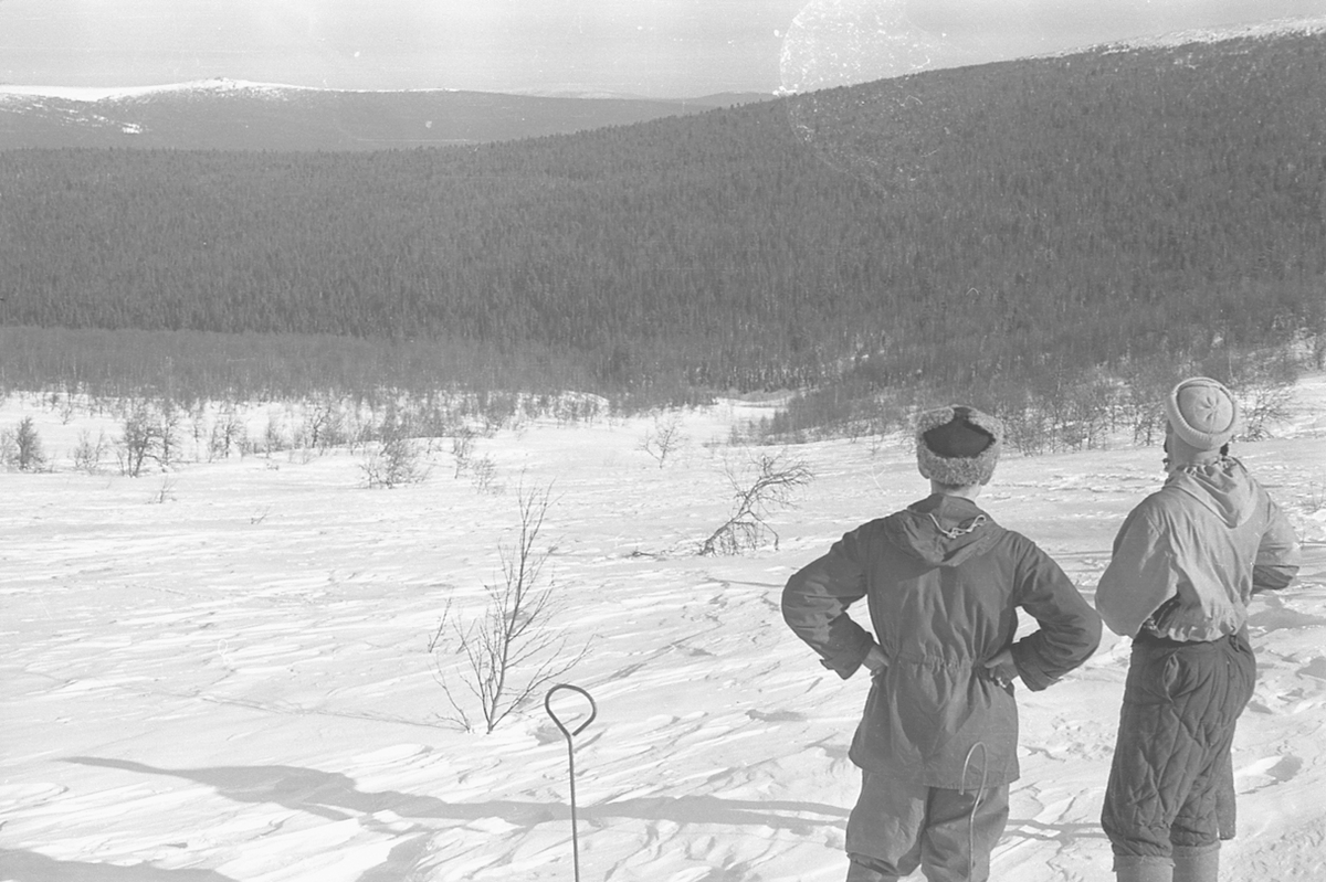 Поисковики. 1959 г. Март.