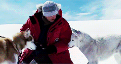 Собаки, в отличие от людей, не знают выражений «спасай только свою задницу»