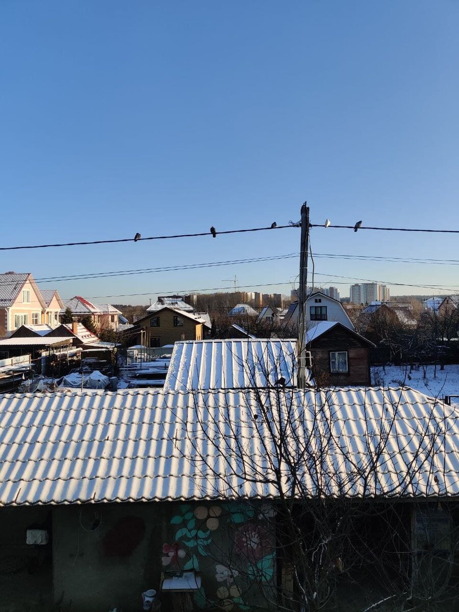 Проснулся сегодня утром, чтобы посмотреть статистику, а тут такая красота.
