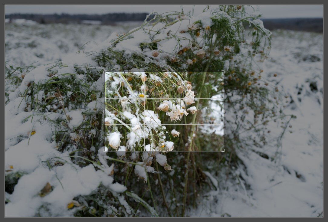 Кадрирование с камеры в Lightroom