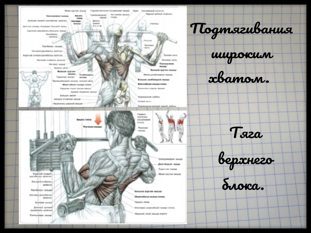 Как правильно заниматься в тренажерном зале начинающим? – Дон-Спорт