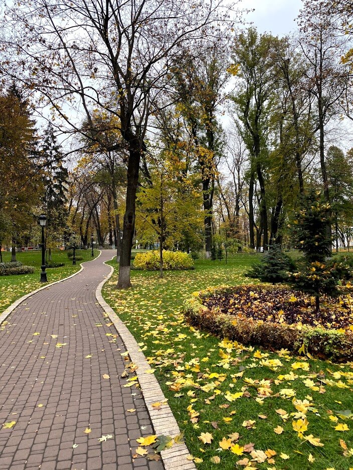 Ноябрь в Мариинском парке, фото автора