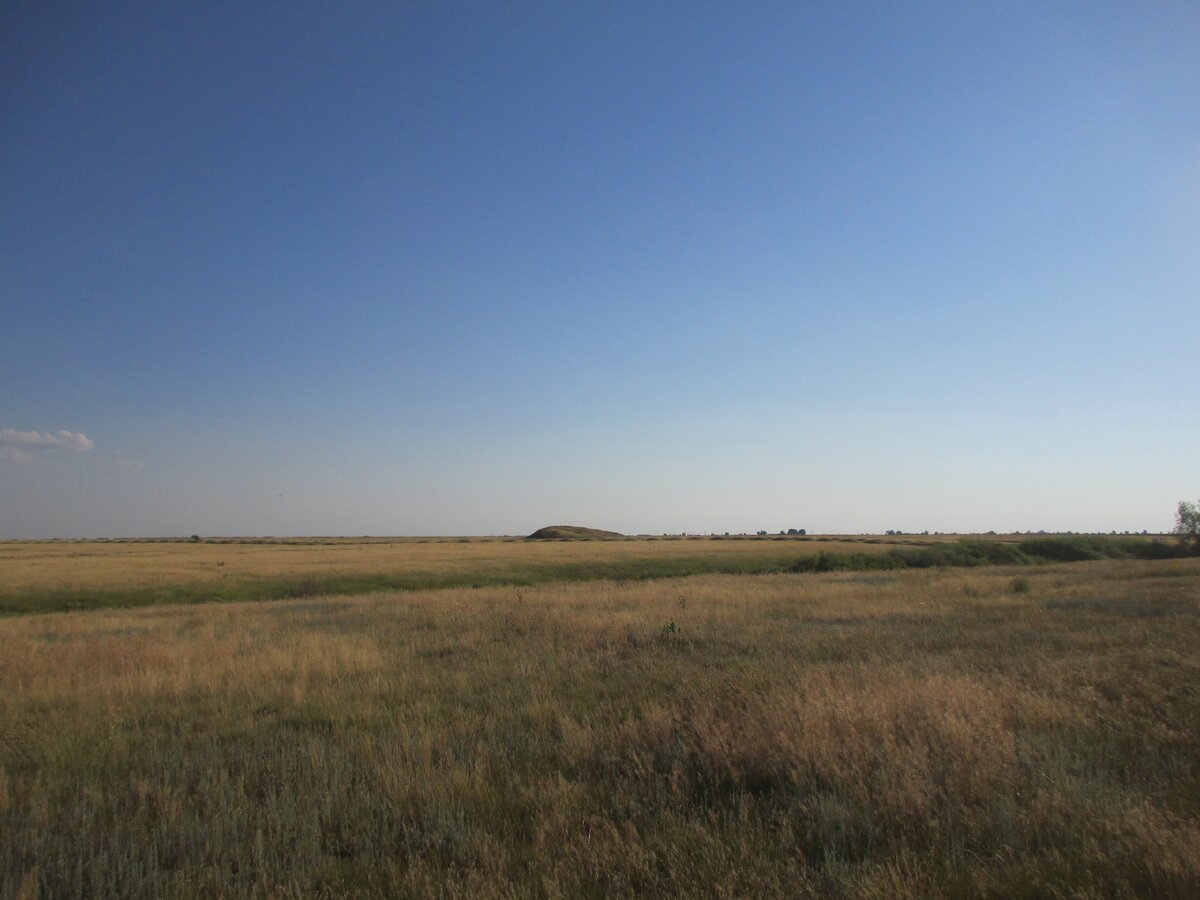 Курган в окрестностях посёлка Новочарлык