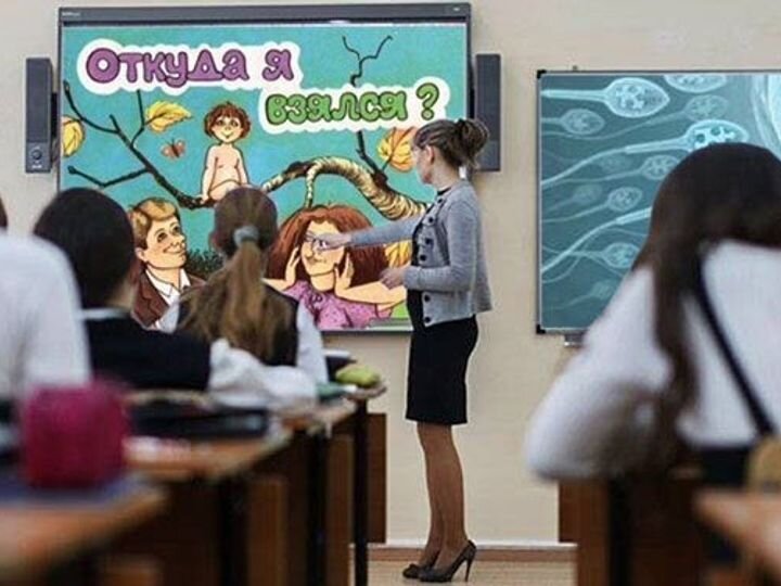 Половое воспитание в картинках
