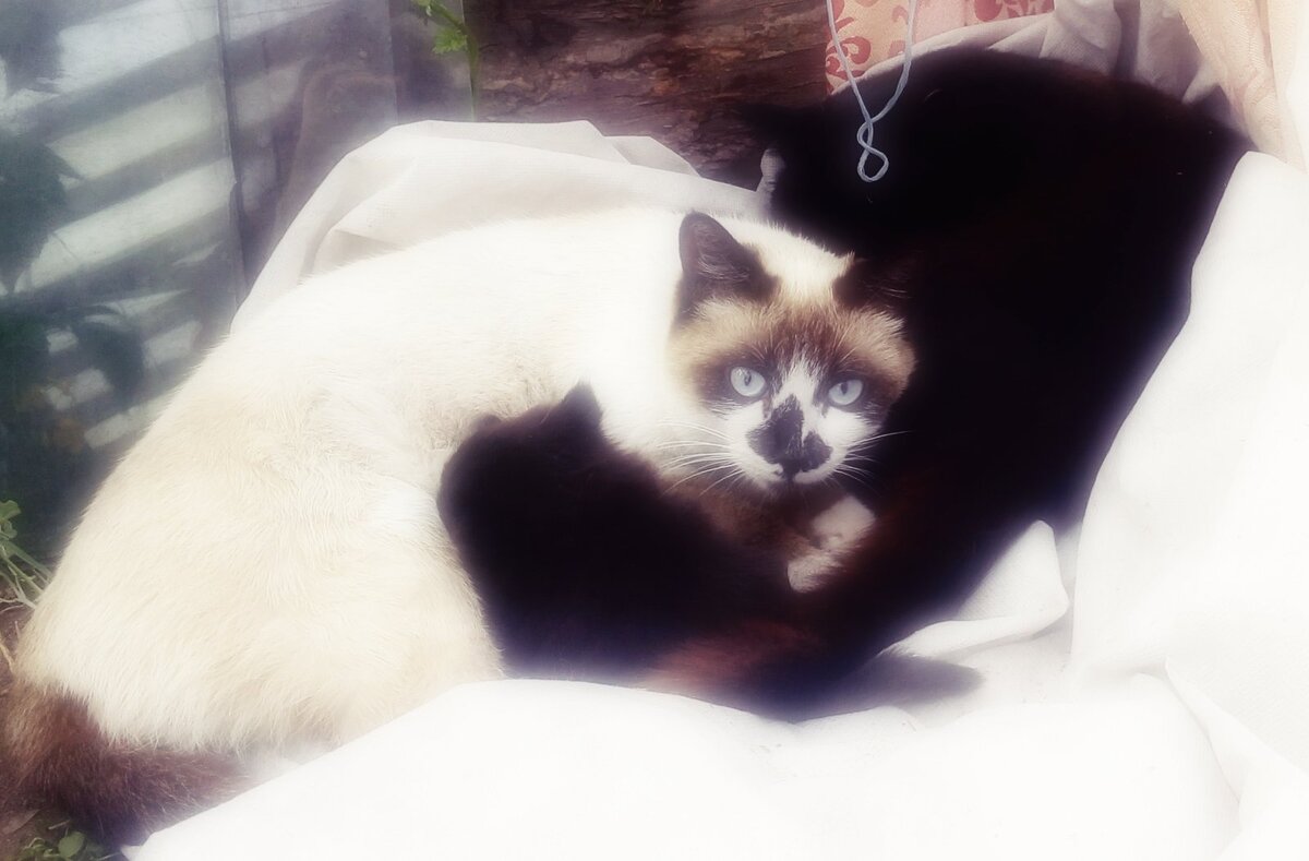 Из личного архива