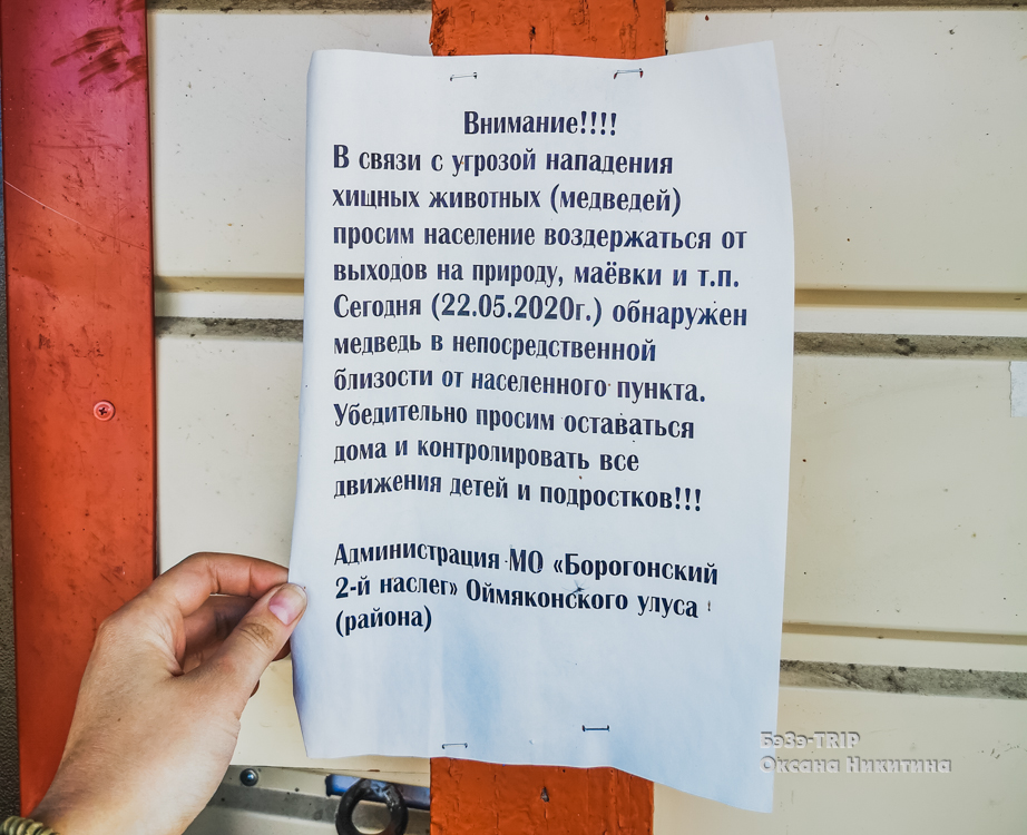 Доставка продуктов из Якутска до Оймякона - 110 тысяч за машину газель. Как выглядит магазин с этими товарами изнутри?0