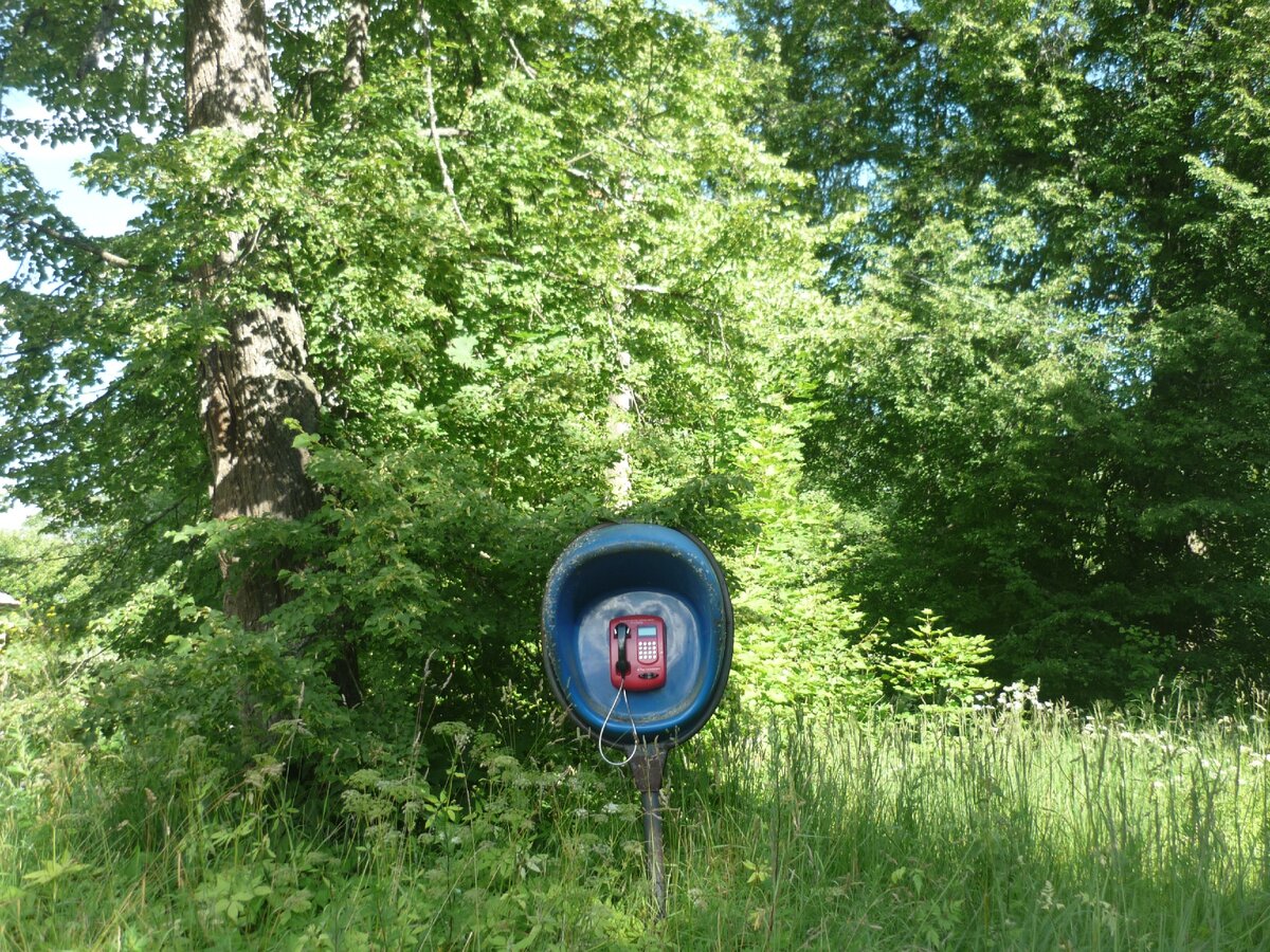 Такие телефоны теперь можно встретить даже среди поля. Фото автора.