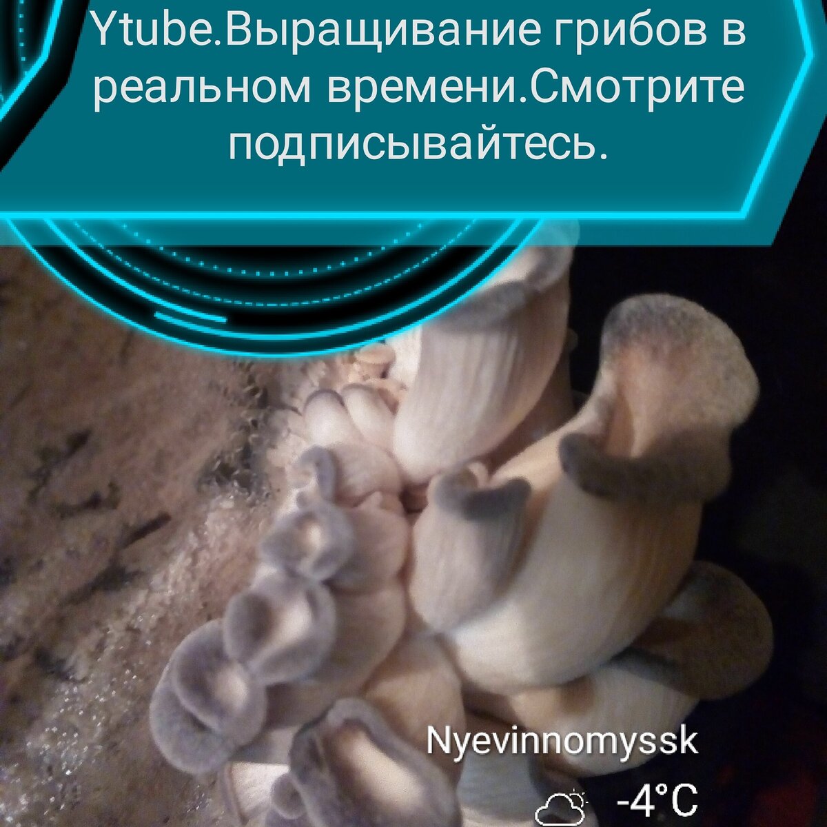 Зима на улице а у нас тепло хорошо.