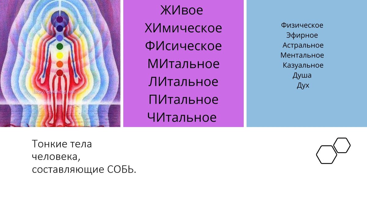 Человек понимался, как существо, состоящее из СЕМИ тел:
ПЕРВОЕ  тело плотное ЖИзненное,
сейчас называется физическим.
ВТОРОЕ тело тонкое ХИмическое,-2