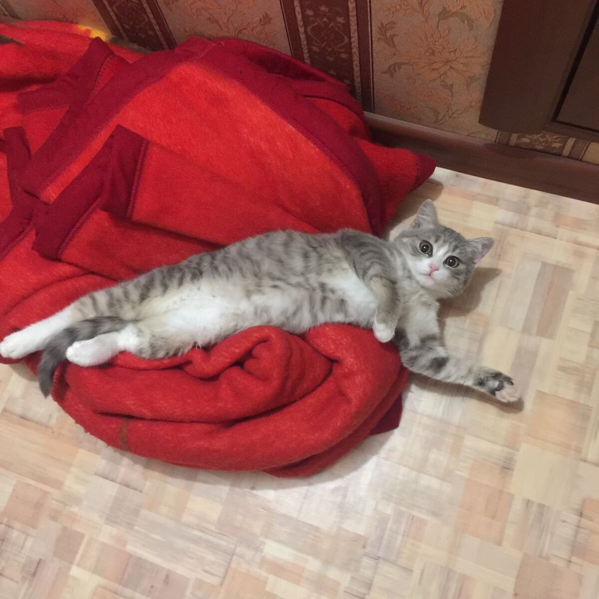 Мия в детстве