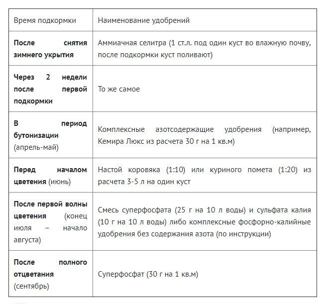 Подкормка роз в период бутонизации. Подкормка роз по месяцам таблица. Таблица подкормок для роз.