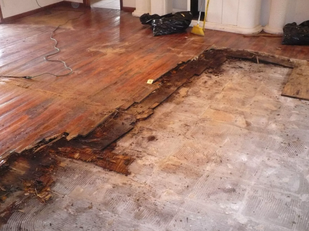 Обожженные полы из дерева. Слабый пол сильнее сильного в силу слабости. Kronopol swiss krono ламинат. Деревянный пол. Слабый пол сильнее сильного в силу слабости сильного пола к слабому.