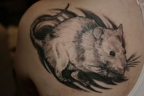 Татуировка крыса