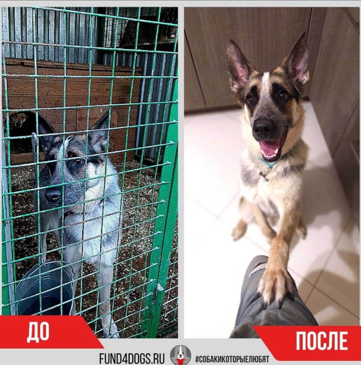 Фото из архива фонда