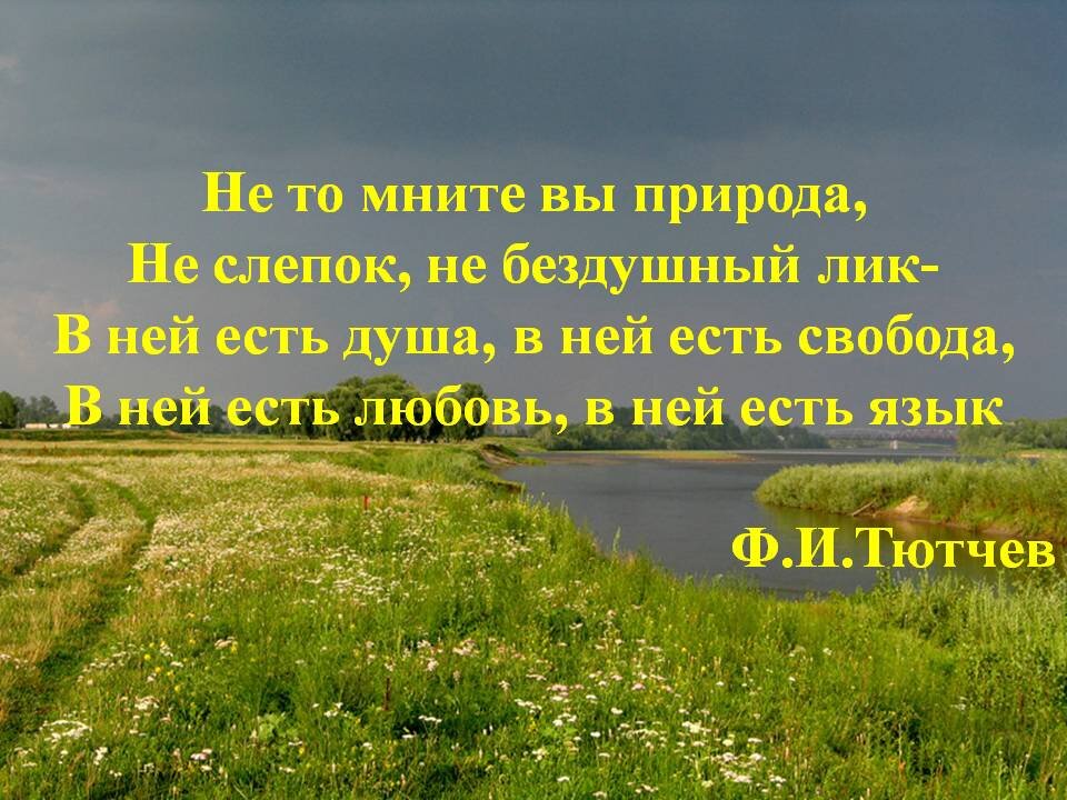 Цитата родная природа. Стихи о природе. Красивое стихотворение о природе. Стихи о красоте природы. Красивое четверостишие о природе.