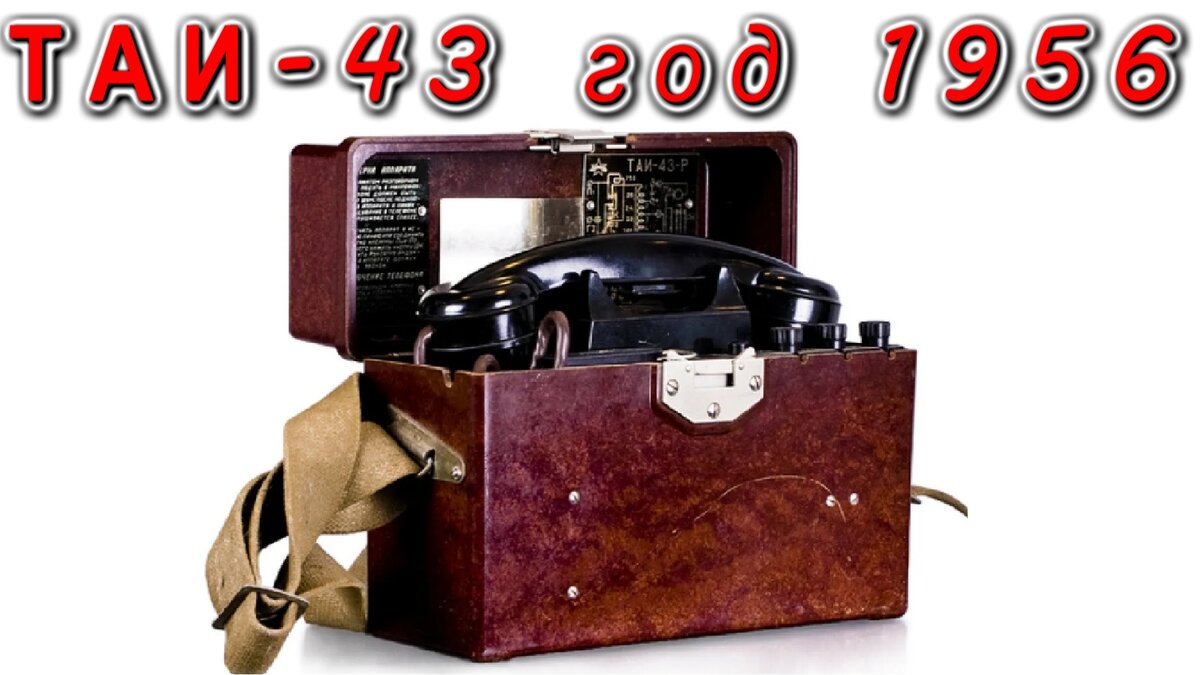 Ит стиліндегі секс туралы жақыннан түсірілген бейне