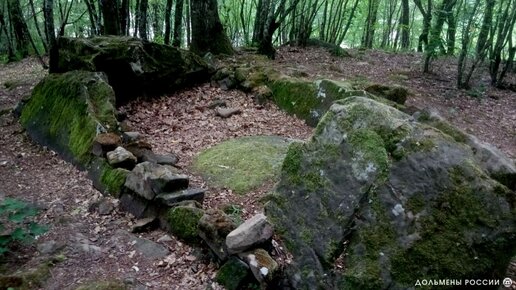 Экскурсия к дольмену Остра в селе Возрождение под Геленджиком.