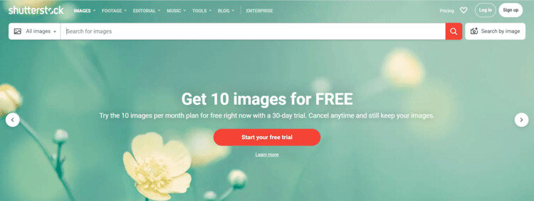 Shutterstock