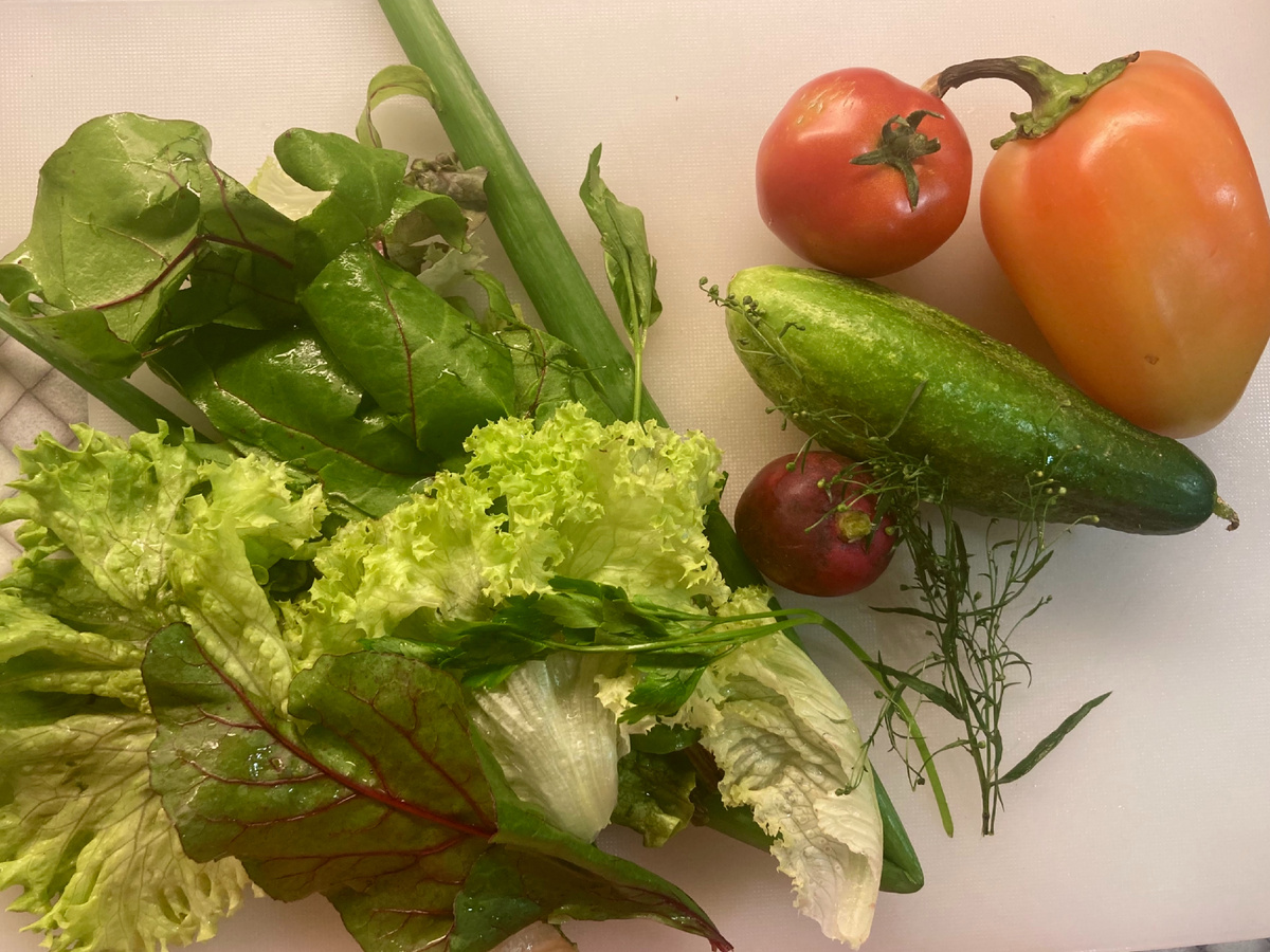 Ждут своего череда