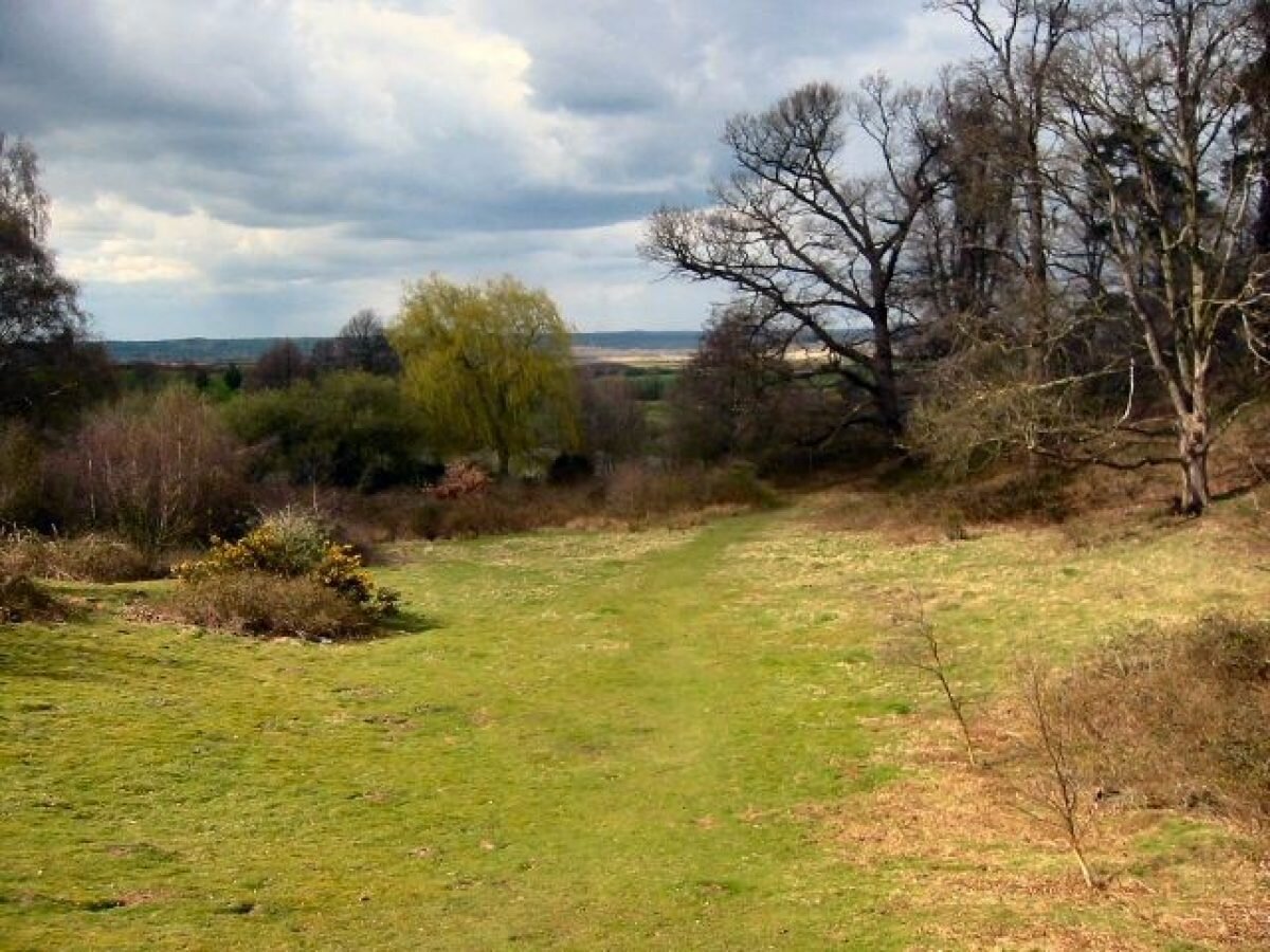 Пейзажи Амптхилл-парка в графстве Бедфордшир (источник фото: Интернет)