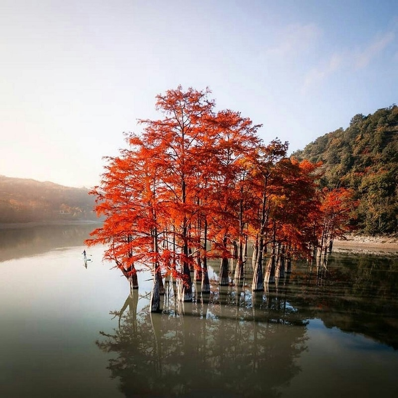 Осень на Кипарисовом озере 