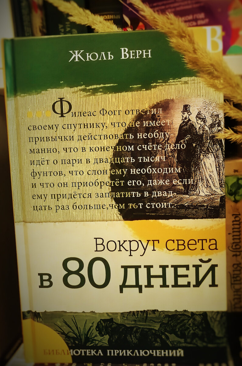 Моя книга