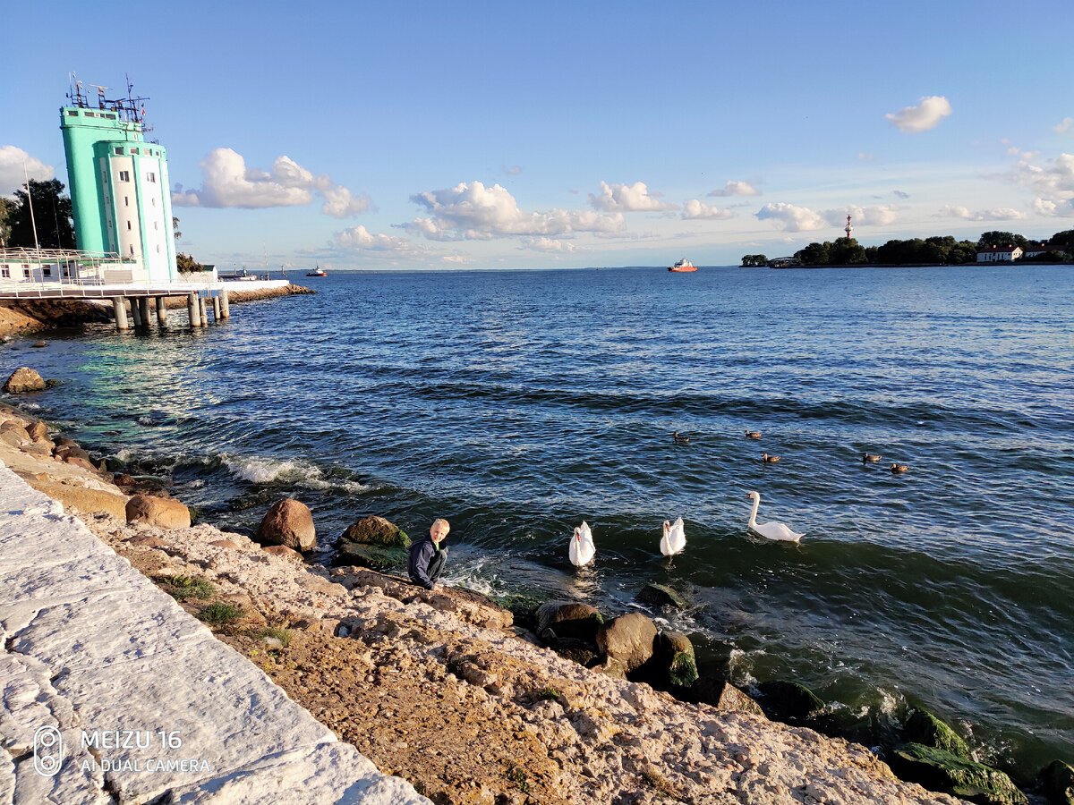 Пролив, там живут утки, лебеди,  бакланы. Вдалеке идёт паром на косу, 