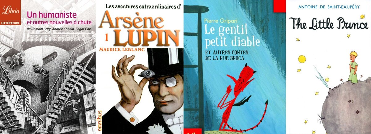 французская литература читать. французские книги в россии. литература на французском языке. французская литература. французские книги.