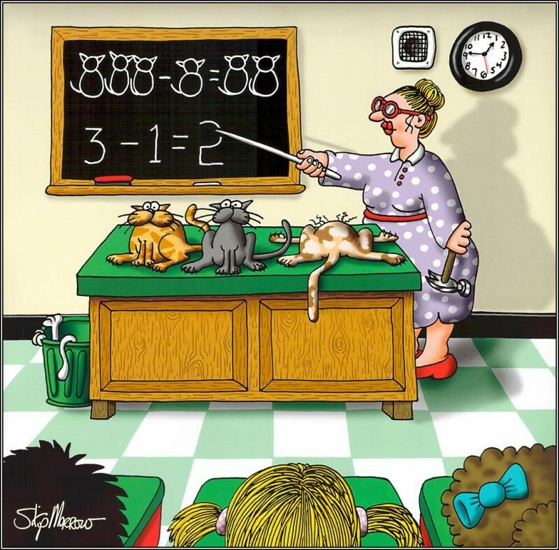 Картинка из Интернета