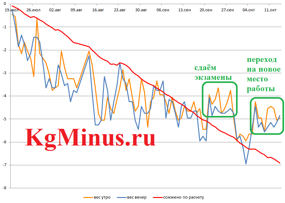 Добавьте описание