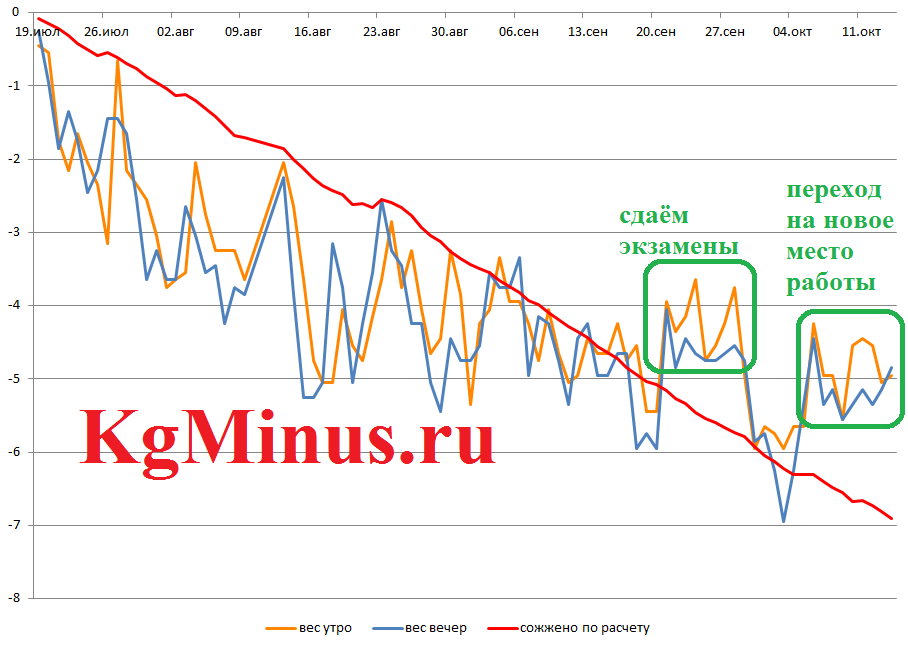 Если вес не снижается: что делать