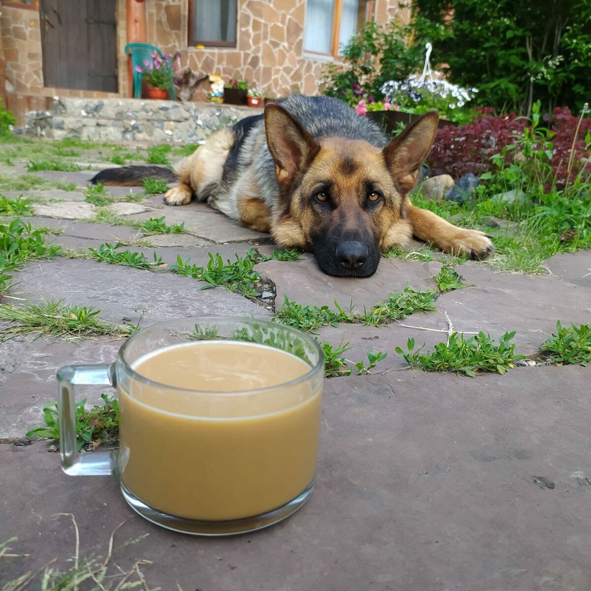 Красивая Верта и мой кофе