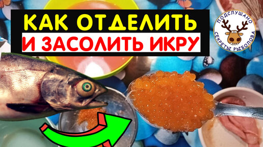 Как быстро отделить икру от пленки и засолить