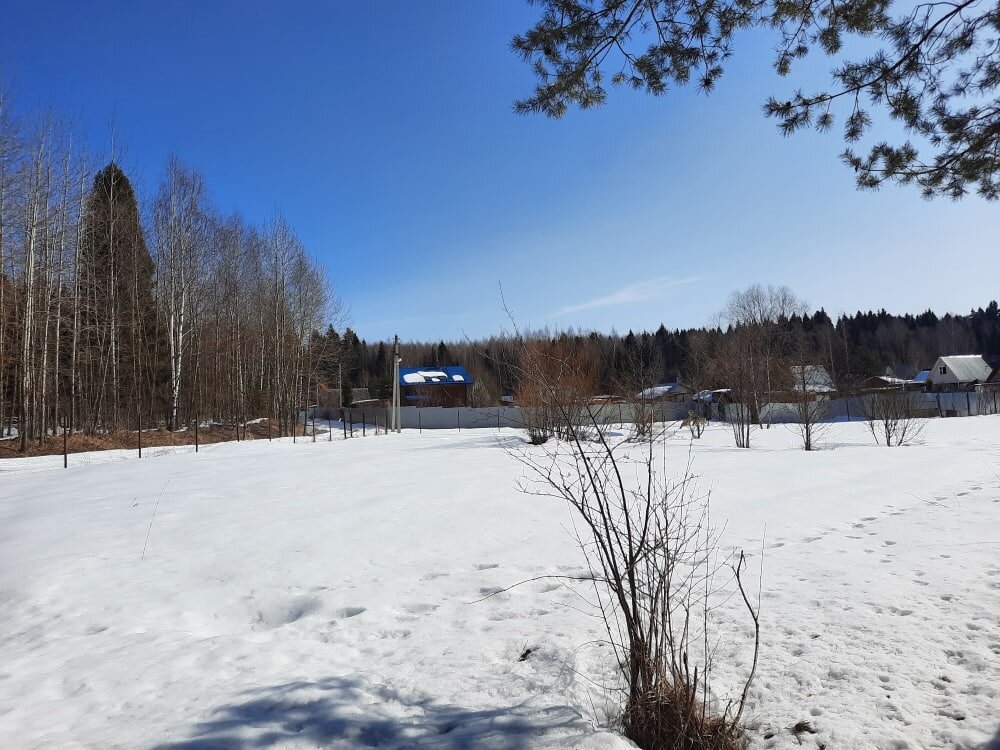 беликово сергиево-посадский район пляж. беликово гостиничный комплекс. беликово сергиево-посадский район. комплекс отдыха беликово сергиево-посадский район. беликово сергиево посадский.