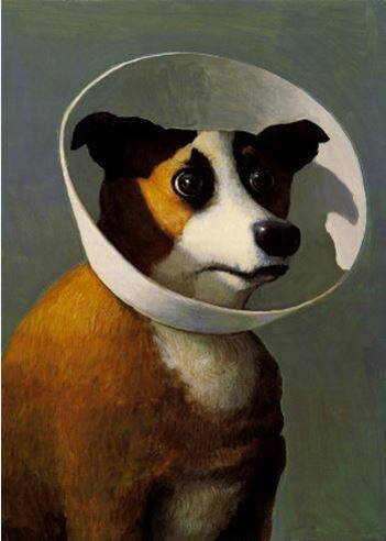 Источник: facebook.com Michael Sowa