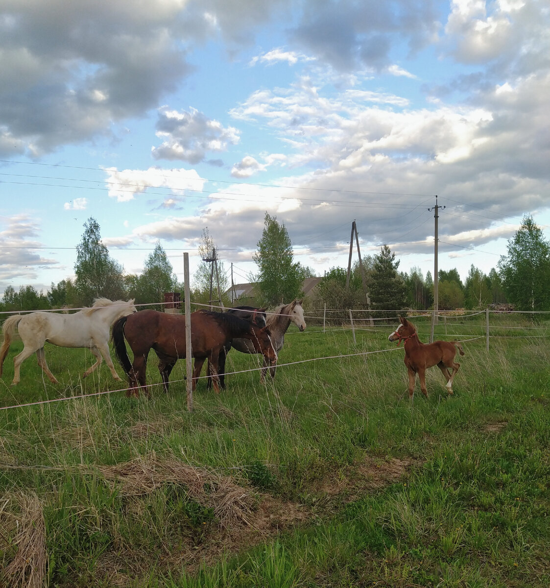 За секунду до.. 