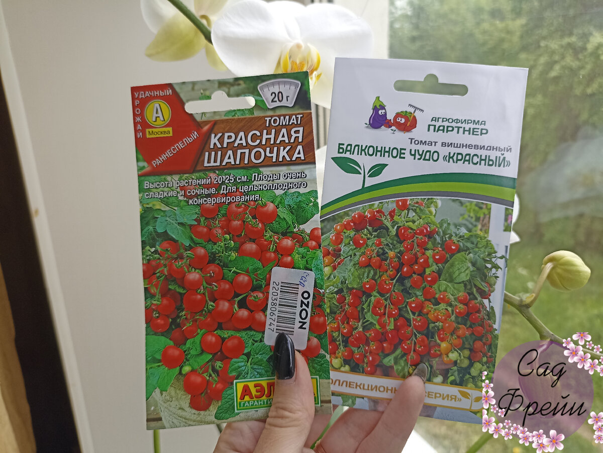 Вздохнуть с облегчением от рассады цветов и сразу посеять Помидоры.  Логично? Для меня, оказалось, да! Сорта для дома и эксперимент | Сад Фрейи  | Дзен
